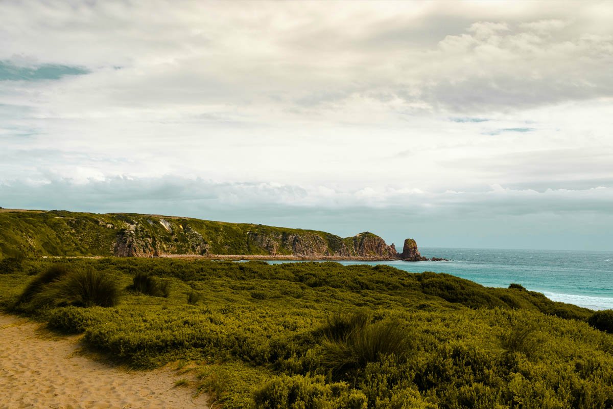 Experience the Magic of the Phillip Island Little Penguins Parade